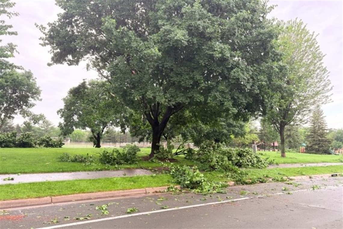 Tree limbs cover the sidewalk after a storm