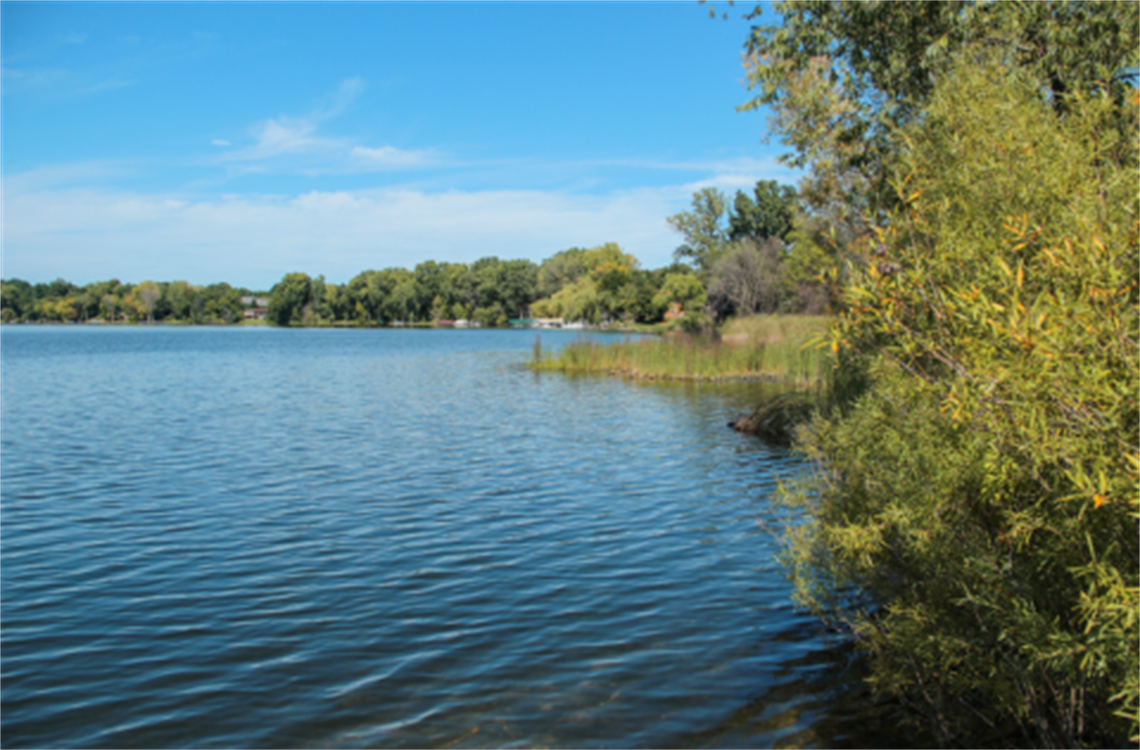 Lake and trees meet at the shoreline